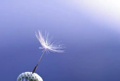 ​子夜读后感800字左右