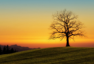 ​个性签名可爱呆萌霸气