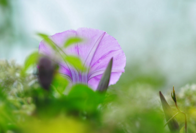 ​形容夏天很热的幽默段子