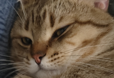 ​阅历的意思23句