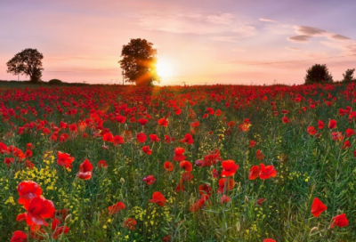 ​对联横批精选40句