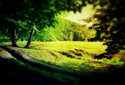 ​杯中窥人44句