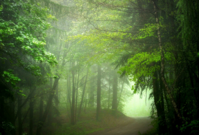 ​关于爱情的成语优选38句