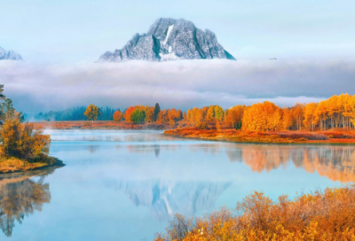 ​遐想优选41句