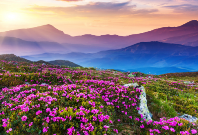 ​简短祝开心快乐句子-47句