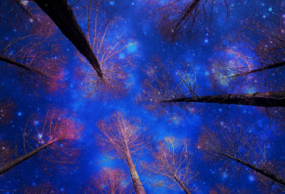 ​驻足痴望47句