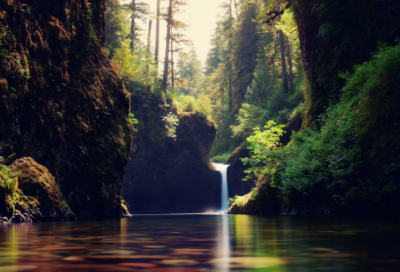 ​事组词精选51句