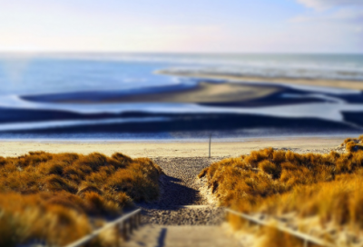 头可断血可流下一句