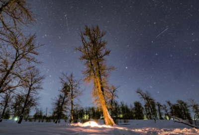 鼓励自己工作的话【优选38句】
