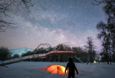 小兔运南瓜47句