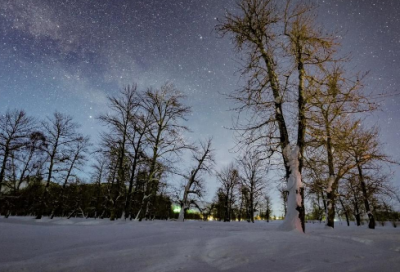 玷污的意思优选51句