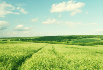 ​待的组词54句