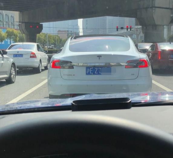 为什么蓝牌特斯拉是韭菜(蓝牌特斯拉为什么叫韭菜)