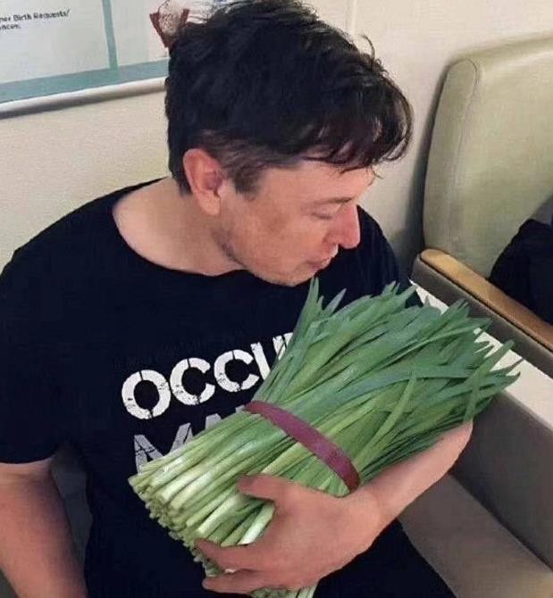 为什么蓝牌特斯拉是韭菜(蓝牌特斯拉为什么叫韭菜)