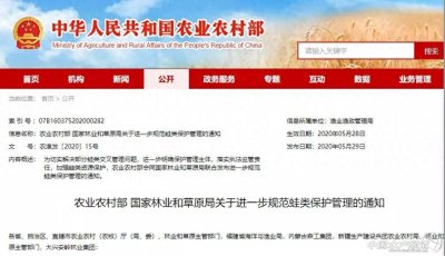 ​好消息！黑斑蛙、棘胸蛙、棘腹蛙、林蛙又能吃能养能上市了