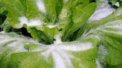 广东下雪了!部分路段封闭
