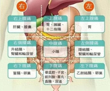 “肚子疼”||一张图告诉你到底是什么原因