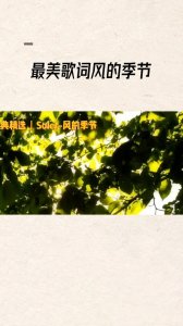 最美歌词风的季节