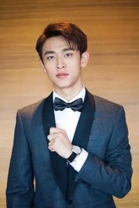 王天辰:演艺路上的多面手