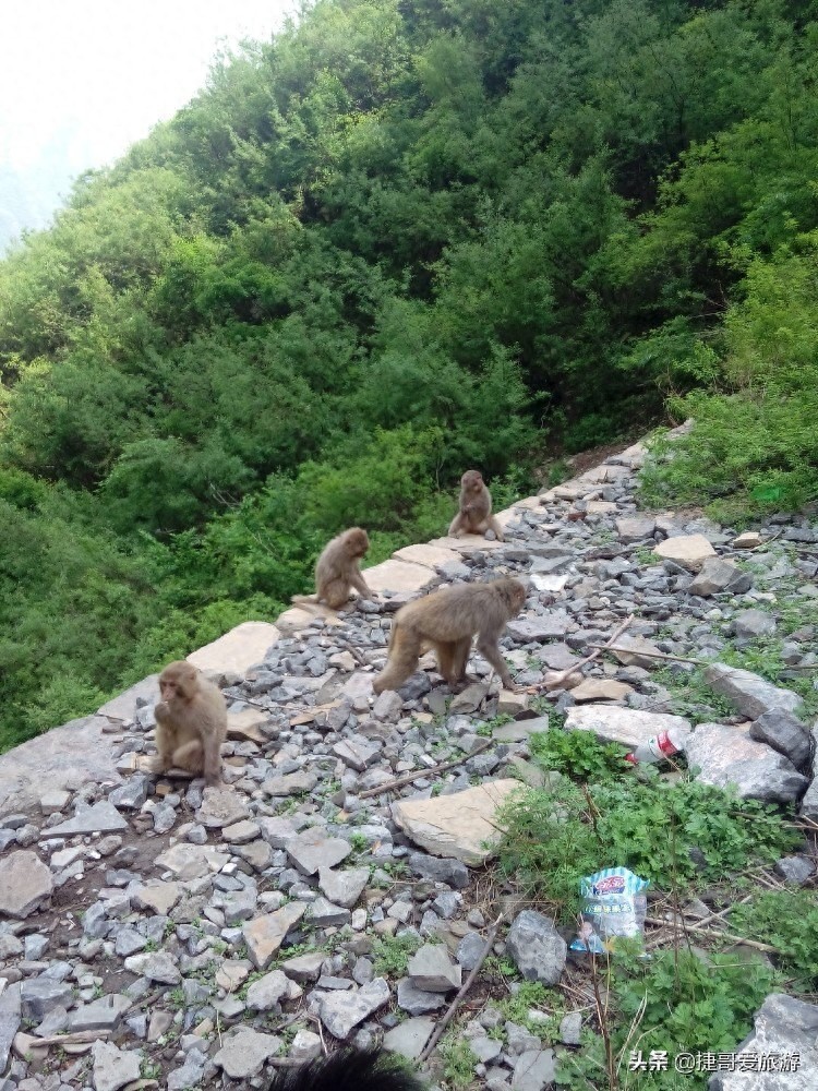 河南省 济源市 五龙口风景区