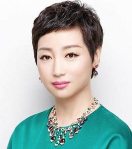 黄光裕妻子杜鹃:为真爱撑起千亿资产,共患难赚回20亿利润!