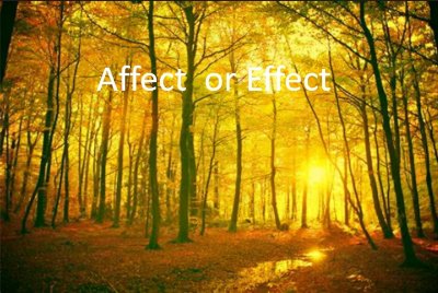 Effect与affect的区别