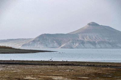 幼发拉底河水位低下