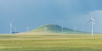 ​玉米价格突变【山东最新粮食（玉米）价格情况】2024年02月16号