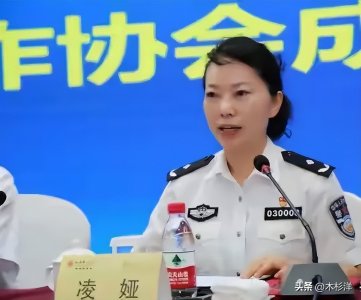 ​凌娅主动投案后，太子奶事件的受害人李途纯发文：终于等到这一天