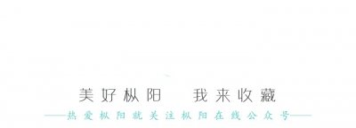 ​拥军 | 枞阳退伍军人注意啦！专属服务卡来了！8项免资、3项专属权益！