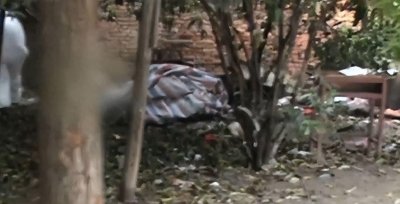 ​寂寞惹的祸！武汉小树林惊现女子裸尸案，一个反常细节成破案关键