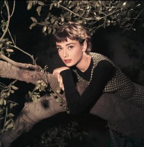 ​一文看懂奥黛丽-赫本的优雅人生