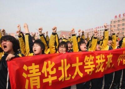 ​“乡下土猪”张锡峰高考成绩公布，河北省228名，拱白菜现实吗？