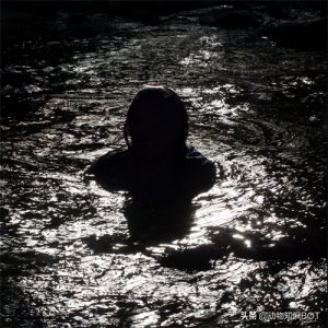 交配前要互扇巴掌,拉粑粑需要6小时,这就是“水猴子”树懒?