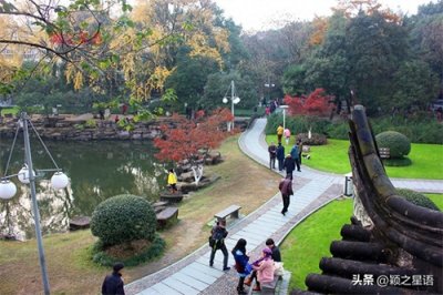 动物园的前世今生,很多人的青春记忆