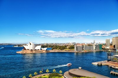 澳大利亚冷知识,独特的动物,你知道几个?