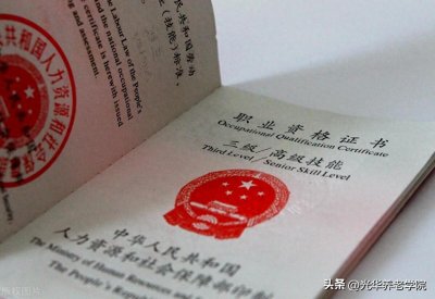 1.1.1 1+X证书制度与失智老年人照护员职业发展