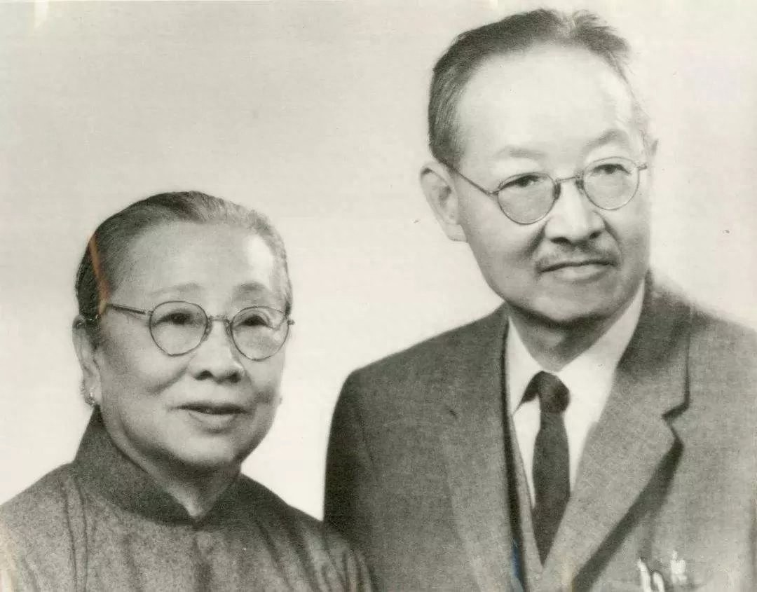 民国女汉子杨步伟,遇到有趣的灵魂,从三少爷变成赵太太