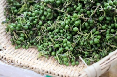 它叫山胡椒,湖南和四川人才懂的极品香料,可惜很多人没吃过