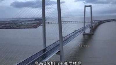 深中大桥:超级大型海上通道