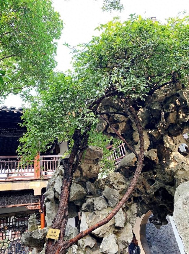 家乡美:江苏扬州何园