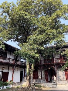 家乡美:江苏扬州何园