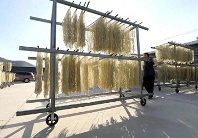 农村小型加工厂,月赚5万很轻松,一家人就可以干,不...