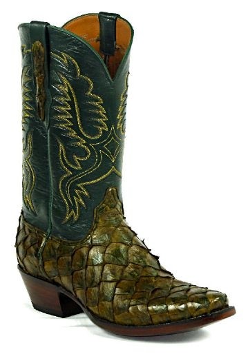 巨骨舌鱼-大型淡水鱼类