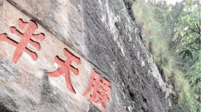 武夷四大名枞之半天妖简介