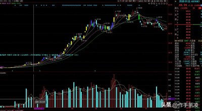 关于趋势龙的定义与买点探析