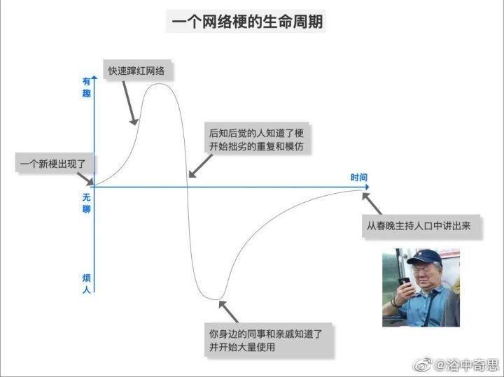 热梗丽丽是什么梗(如何看待梗文化现象) 4