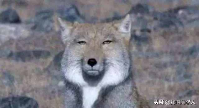 一组图走进抑郁症患者的内心世界。