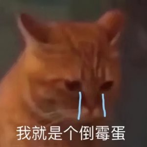 ​当代成年人专属悲伤表情包