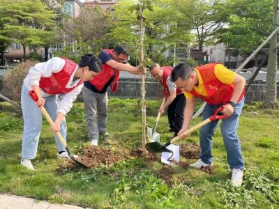 ​勒流富裕村：种下70株“新绿” ，建设绿美乡村